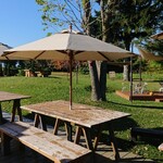 用户对于麦音的评论图