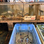 用戶對於夜明茶屋的評論圖