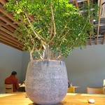 用户对于あふひ的评论图