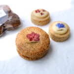 用戶對於コチト ハナトオカシト的評論圖