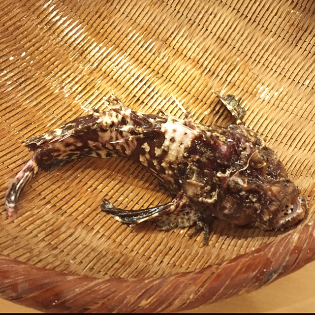 用戶對於博多中洲 六三亭的評論圖