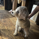 User's review image for アールジェイカフェ