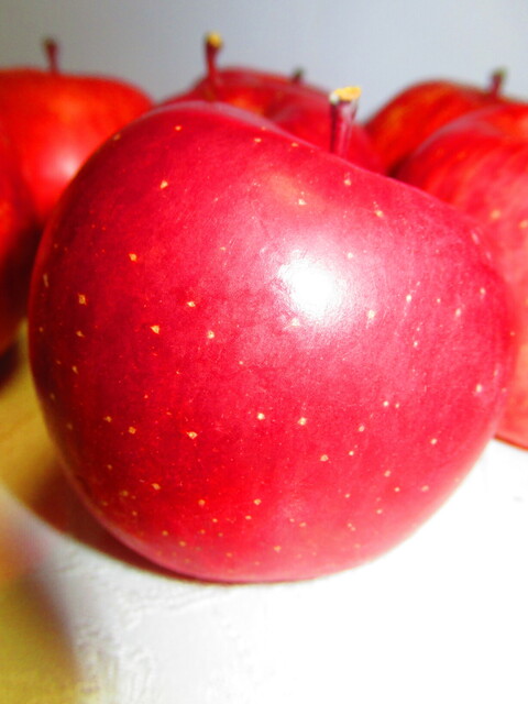 用戶對於ダイイチ 発寒中央駅前店的評論高清圖