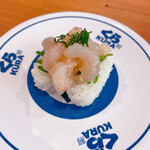 用户对于無添くら寿司 京橋店的评论图