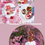 User's review image for アートグレイス ウエディングコースト大阪