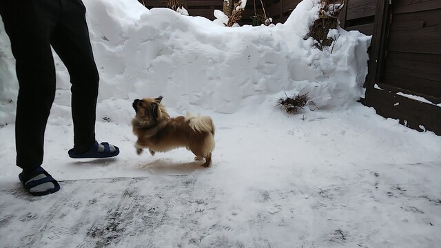 用户对于水の謌的评论高清图