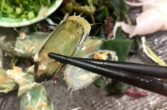 用戶對於夜明茶屋的評論圖