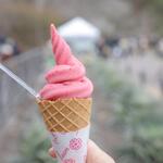 用戶對於森のカフェ的評論圖
