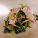 用户对于sacae的评论图