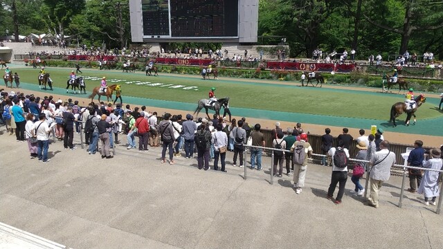 User's recommendation image for カレーハウス CoCo壱番屋 東京競馬場店