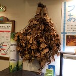 用戶對於ウェルビー 福岡店的評論圖