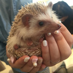 User's review image for ミス・バニー