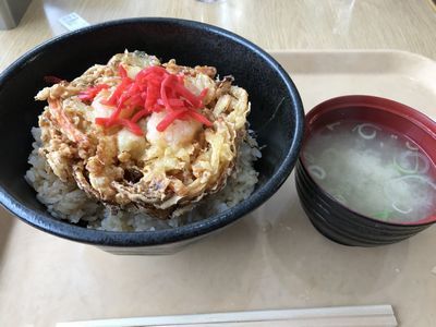 用戶對於姿見食堂的評論圖
