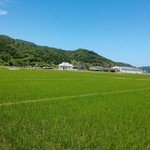 用户对于きくのや的评论图