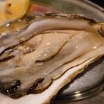 用户对于大厚岸的评论图