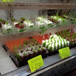 用戶對於岩田屋的評論圖