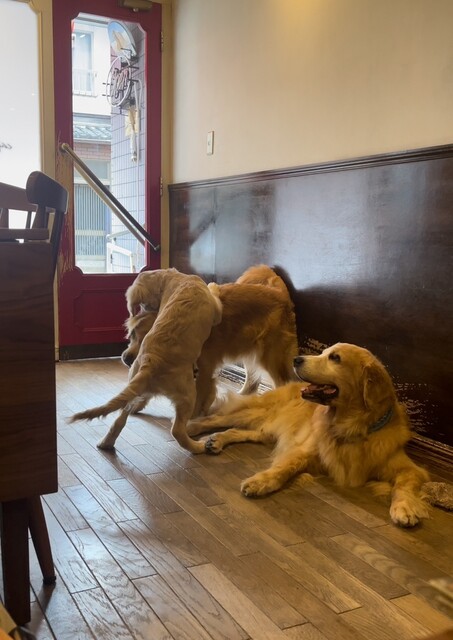 User's recommendation image for cafe de monca