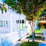 User's review image for BeachHouseStyleCafe sunflower