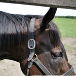 User's review image for Yogibo Versailles Resort Farm CAFE