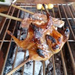 用户对于鎌田鳥山的评论图