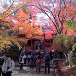 用户对于おぐら茶屋的评论图