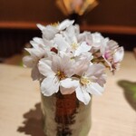 用戶對於杦的評論圖