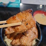 用户对于きんちゃん的评论图