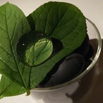 用户对于TAKAO的评论图