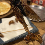 用戶對於米とサーカス 高田馬場店的評論圖