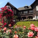 用户对于旧古河庭園 洋館　喫茶室的评论图