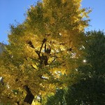 User's review image for ドミノピザ 中村橋店