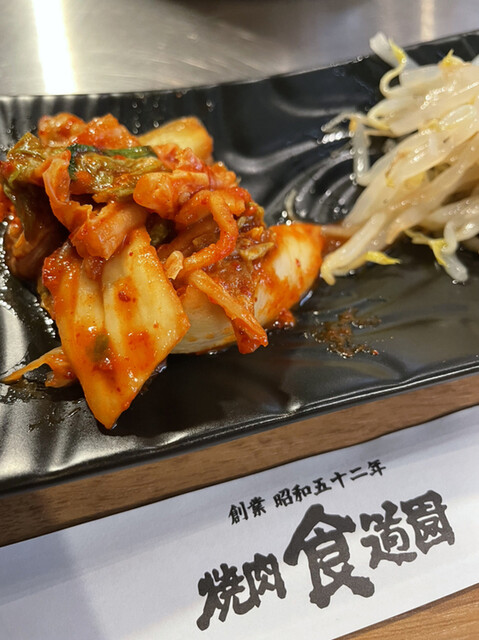 User's recommendation image for 炭火焼肉食道園 大森店