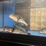 User's review image for 大阪とらふぐの会 PREMIUM