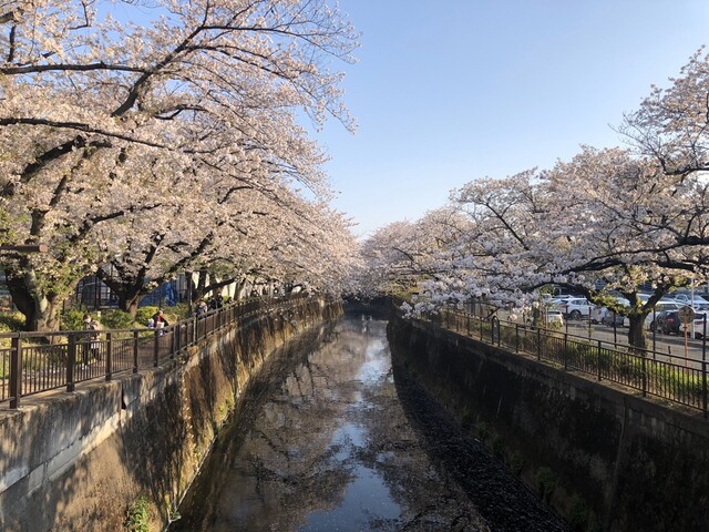 用戶對於サミットストア 成城店的評論高清圖