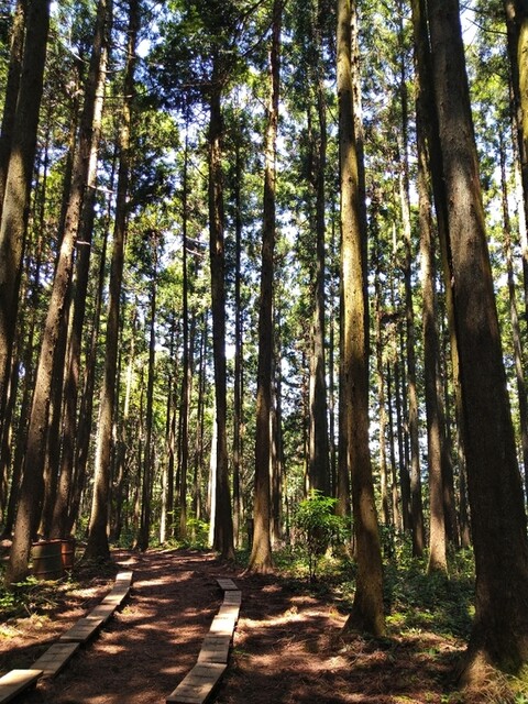用户对于景信山頂上　景信茶屋　青木的评论高清图