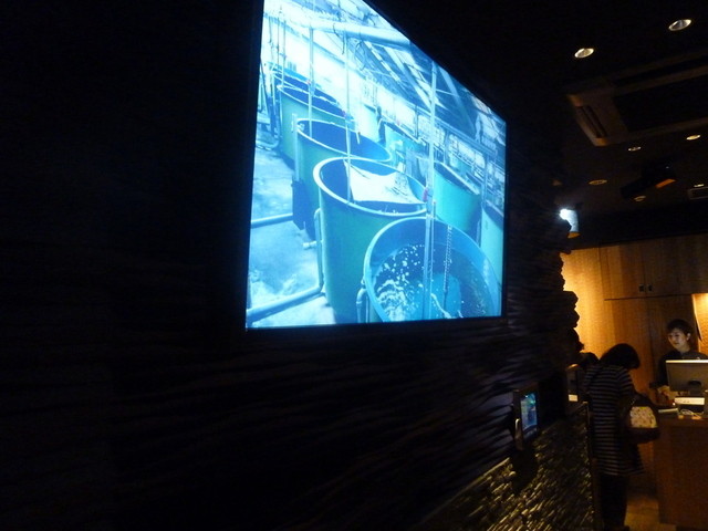 User's recommendation image for 近畿大学水産研究所 銀座店