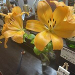 User's review image for 牛すじ酒場立呑み どてちん