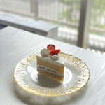 User's review image for CONFECT-CONCEPT