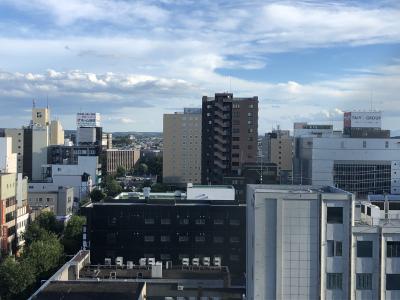 用户对于ドーミーイン 帯広的评论图