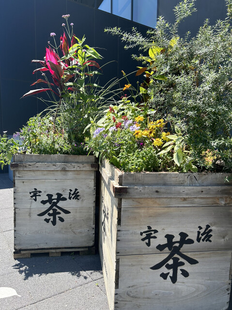 用户对于とにまる 茶づな本店的评论高清图
