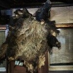 用户对于油山猟師小屋的评论图