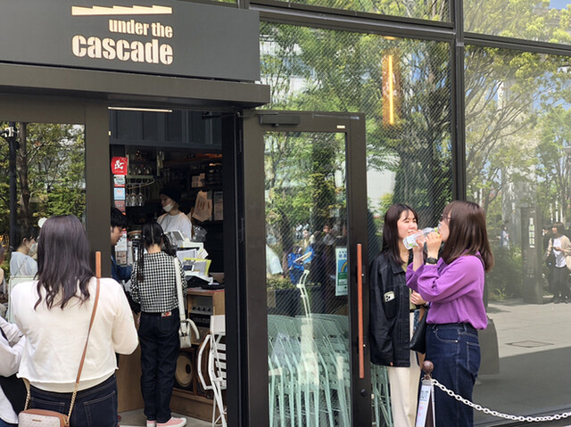 User's recommendation image for ​under the cascade