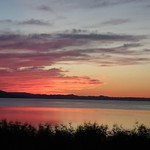 用户对于さろまにあん的评论图