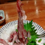 用戶對於大衆食堂てんぐ大ホール 南池袋店的評論圖