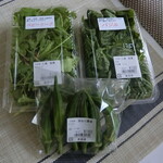 User's review image for 新鮮ひろば かのな