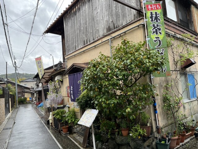 User's recommendation image for とり菊