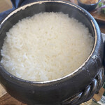 用户对于RICE的评论图