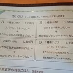 用户对于京都スパイスカレー KAAYA的评论图