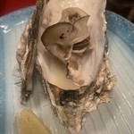 用户对于月夜のたぬき的评论图