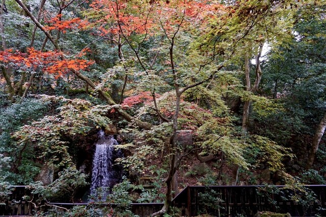 User's recommendation image for 南禅寺